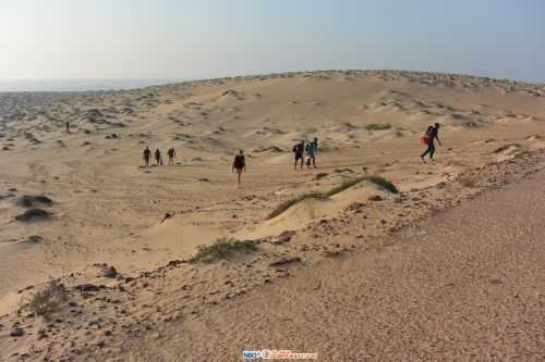 OMAN DESERT MARATHON | 165K 2016